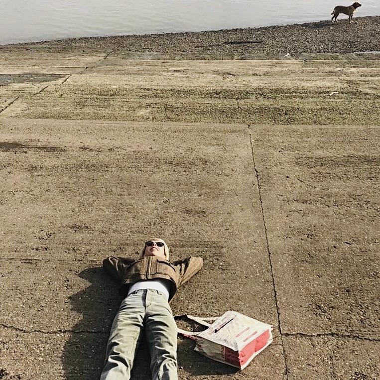 pavement, recycled bag,dog