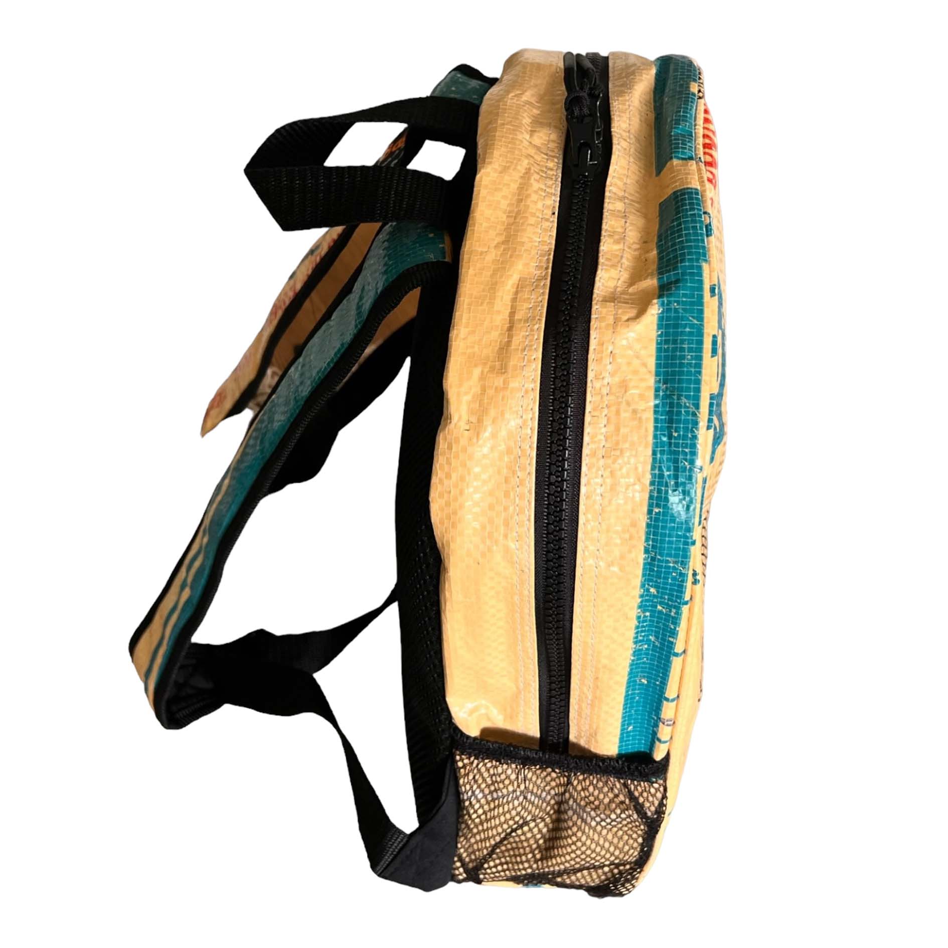 Small backpacks with fish prints